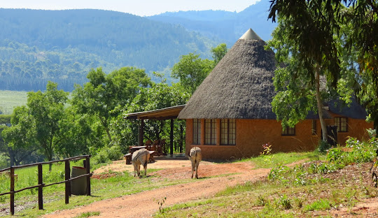 Swazi Houses Cultural