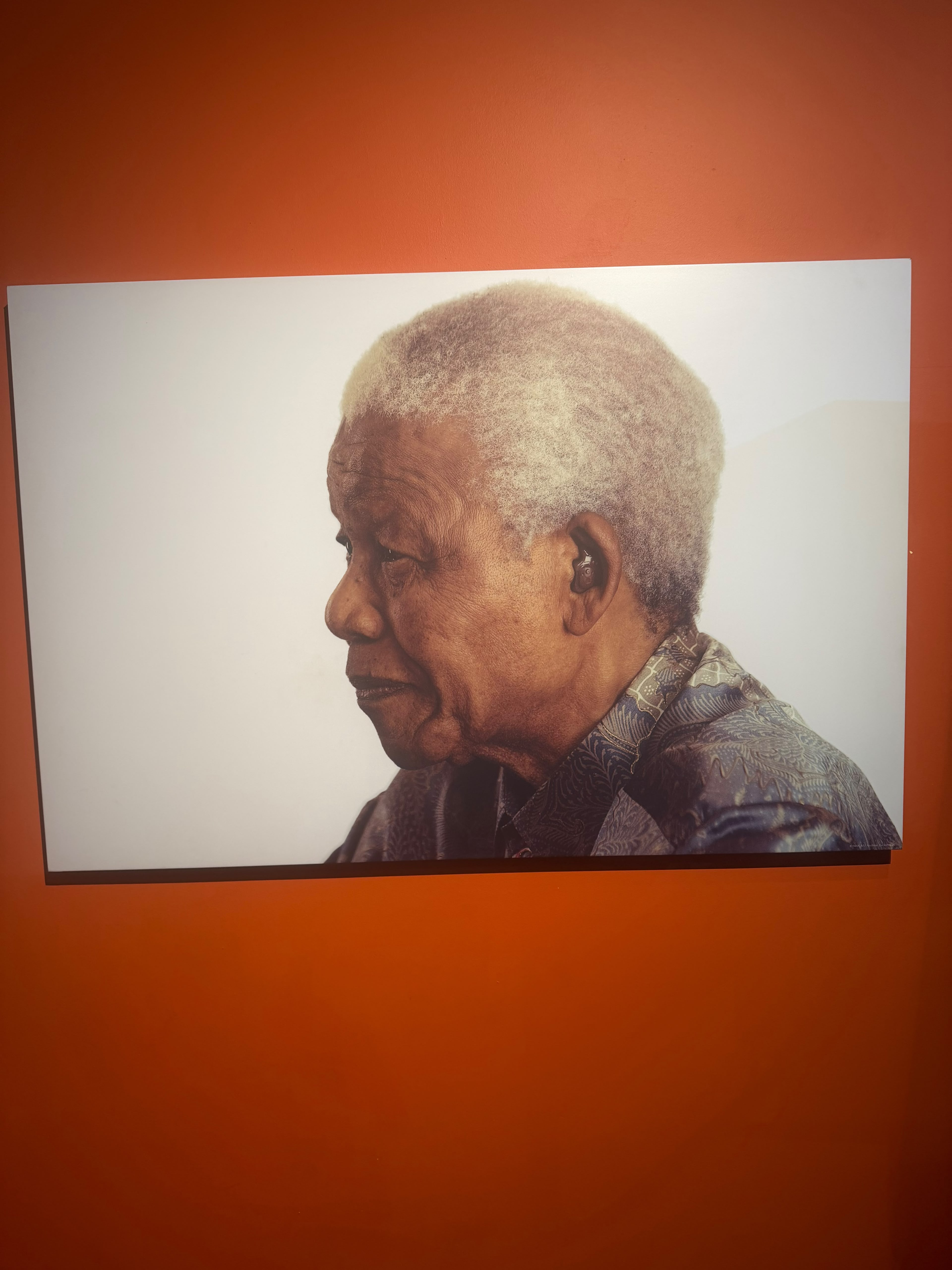 Nelson Mandela portrait