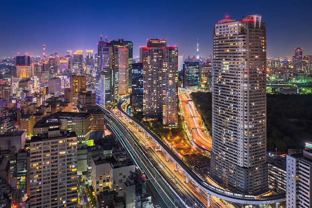 Tokyo Night Skyline